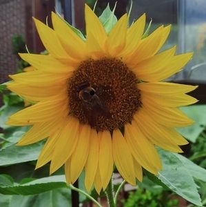 Meet your Posher, Vicki